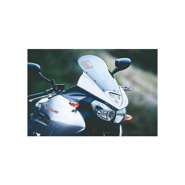 DAYTONA（デイトナ） TDM900（02〜13年） エアログイナミック
