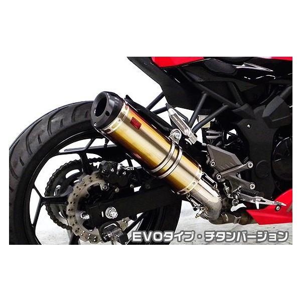 Ninja250SL（ニンジャ250SL）JBK-BX250A TTRタイプスリップオン