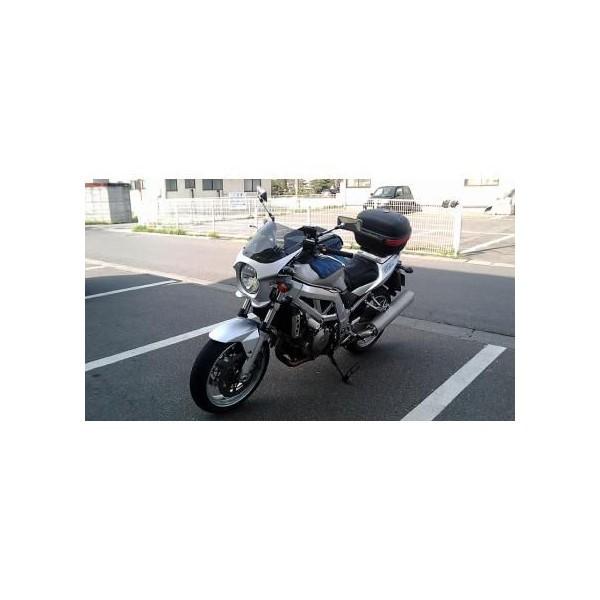 GSX1400 汎用ビキニカウル DS-01 タイプエアロ クリアスクリーン（ソニックシルバーメタリック） WORLD WALK（ワールドウォーク）｜hamashoparts