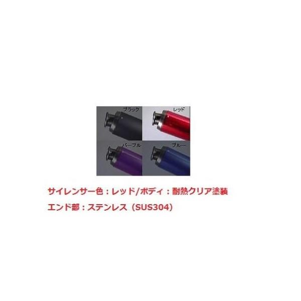 専用 Amazon | バイク用 フェンダーレスキットニンジャ ZX-6R[8BL-ZX636J(24