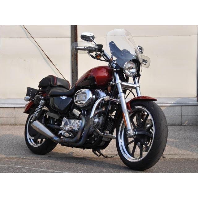 ガイラ スポーツシールド クリアスクリーン CHIC DESIGN（シック