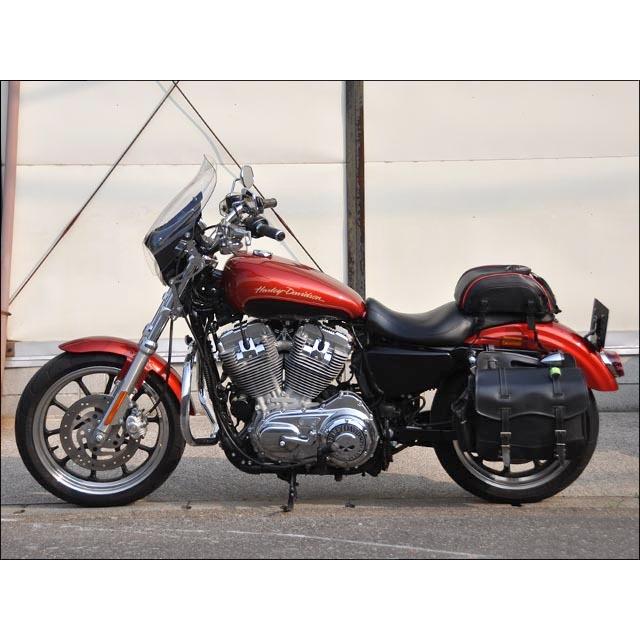 ガイラ スポーツシールド クリアスクリーン CHIC DESIGN（シック