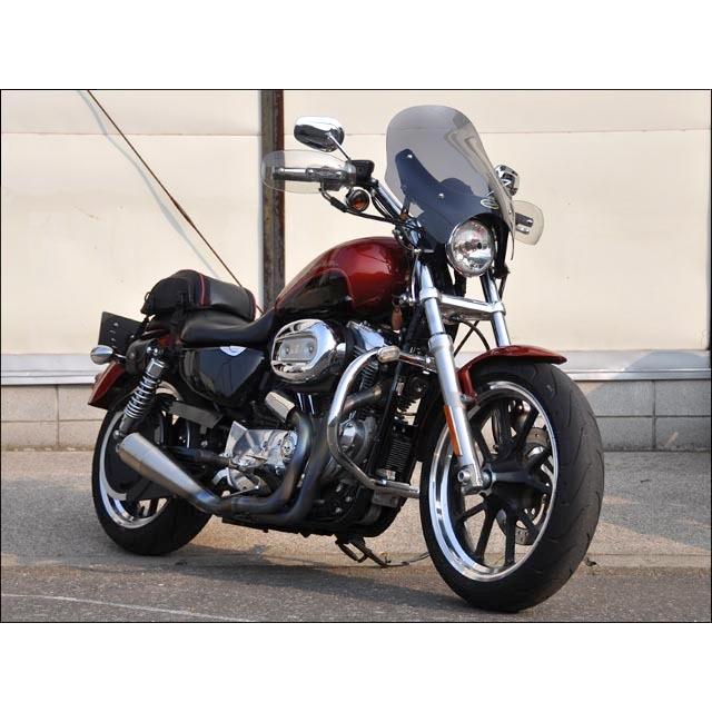 ガイラ スポーツシールド スモークスクリーン CHIC DESIGN