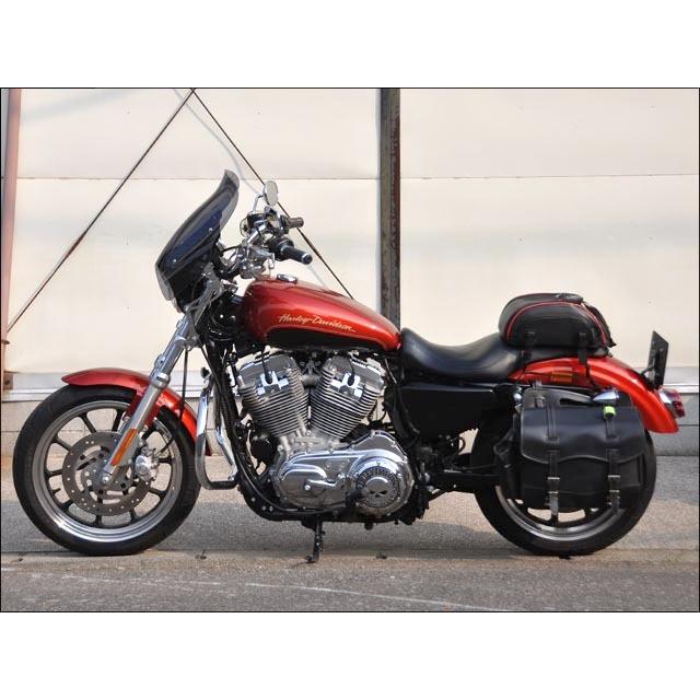 ガイラ スポーツシールド スモークスクリーン CHIC DESIGN（シック