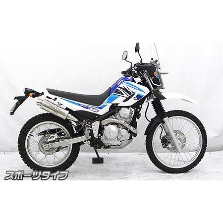 スリップオンマフラー スポーツタイプ ウイルズウィン（WirusWin