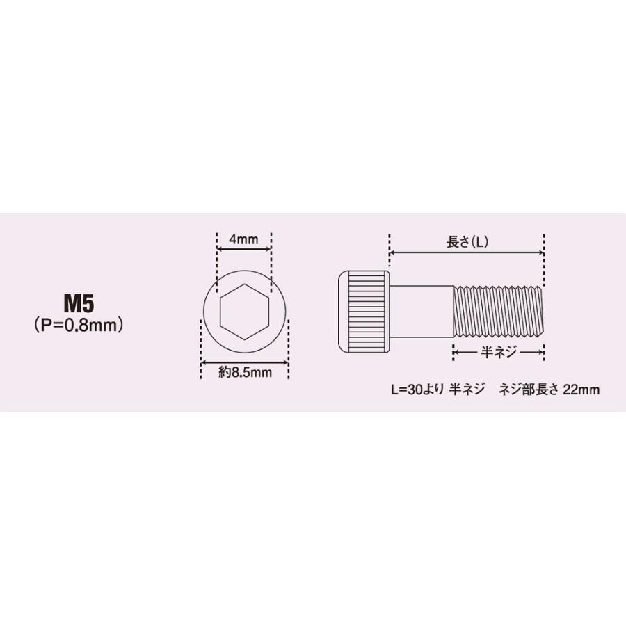 ステンレスキャップボルト M5×30mm（2本入） POSH（ポッシュ