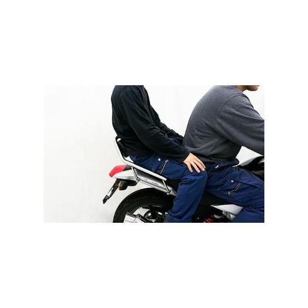 バックレスト付きタンデムバー ウイルズウィン（WirusWin） Ninja250R