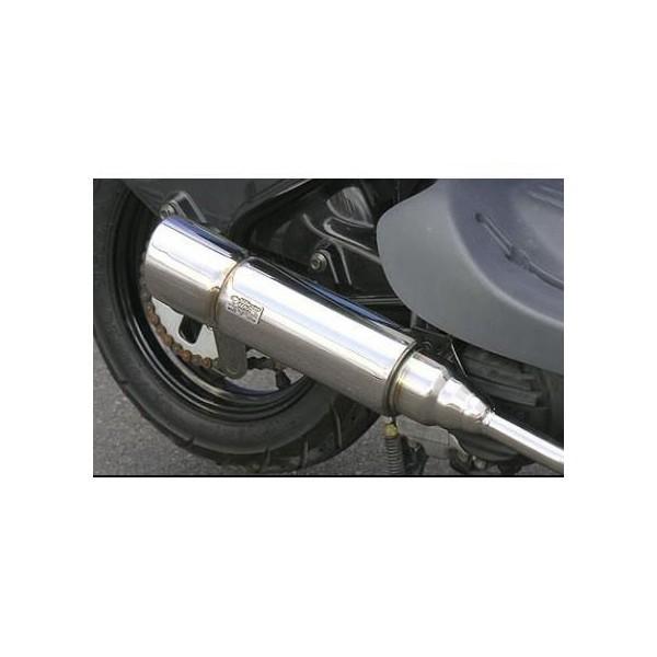 ロイヤルマフラー ポッパータイプ ウイルズウィン（WirusWin