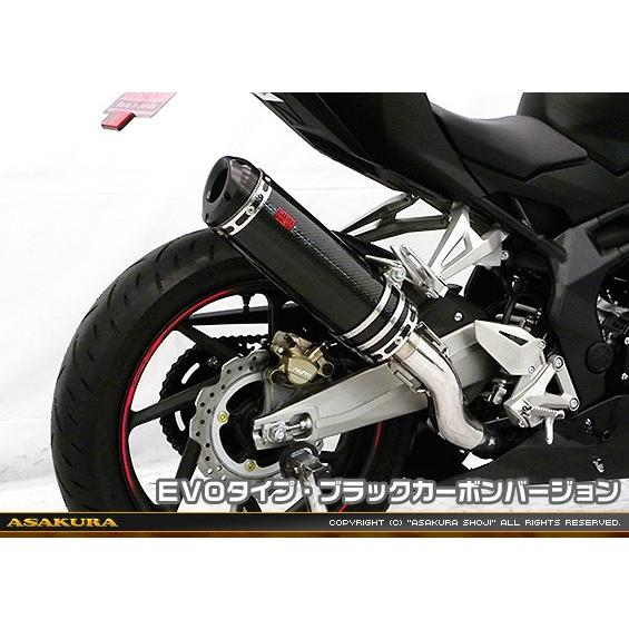 TTR印字機えり巻き EVO印字機 ブラックカーボンバージョン スリップオン ASAKURA（浅倉商事） CBR250RR（2BK-MC51）