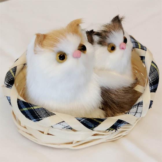 売り尽くしセール】猫ぬいぐるみ ヌイグルミ ねこ ネコ にゃんこ 二匹