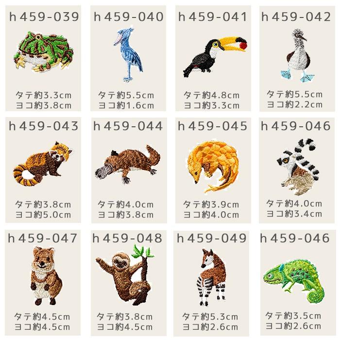 ワッペン Who Are You ワッペン アップリケ クアッカワラビー 入園 入学 動物 H459 047 クラフトケイ Craft Kei 通販 Yahoo ショッピング
