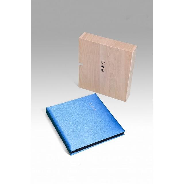 絶版・入手困難な学参】日本史講義1～3（安藤達朗）駿台文庫