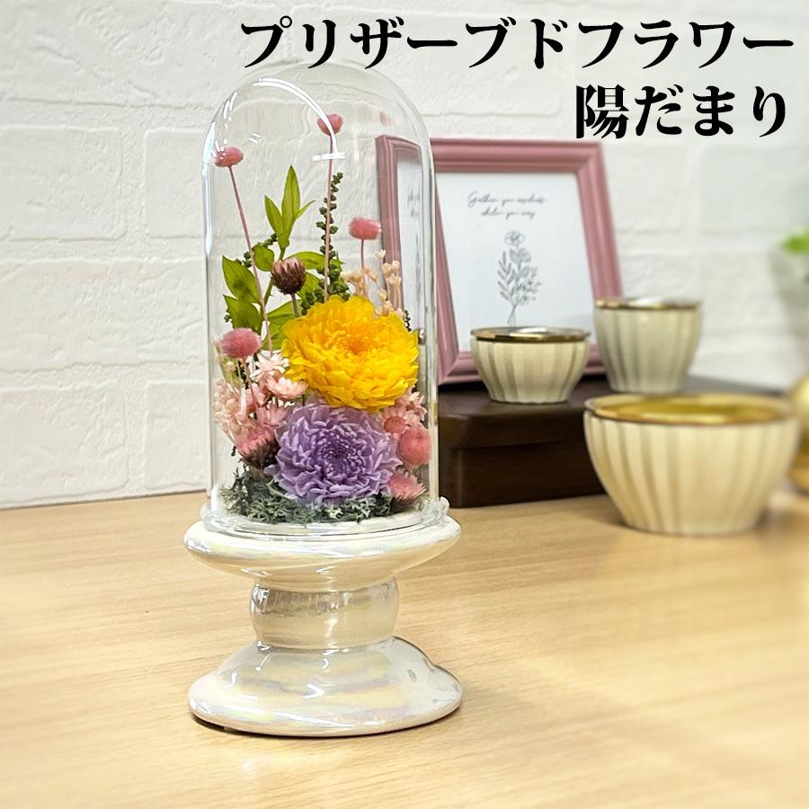 陽だまり花屋さん　専用 陽だまり花屋さん 専用 【公式通販】