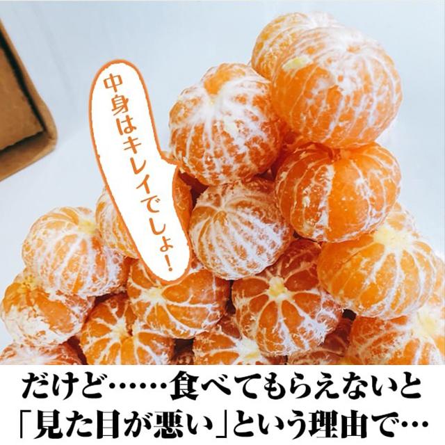 みかん 訳あり 清見 きよみ オレンジ 和歌山県から産地直送☆彡 みかん 訳あり 清見 きよみ オレンジ 和歌山県から産地直送☆彡