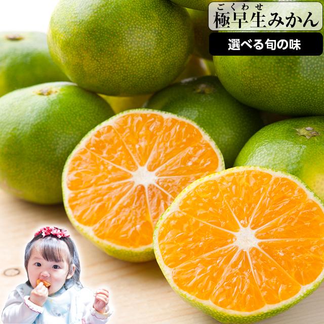 清見 オレンジ みかん 訳あり 和歌山 箱買い 2kg  2セット購入で送料無料+約1kgおまけ ポイント消化 はみだしみかん｜hamidasi-gurume｜12