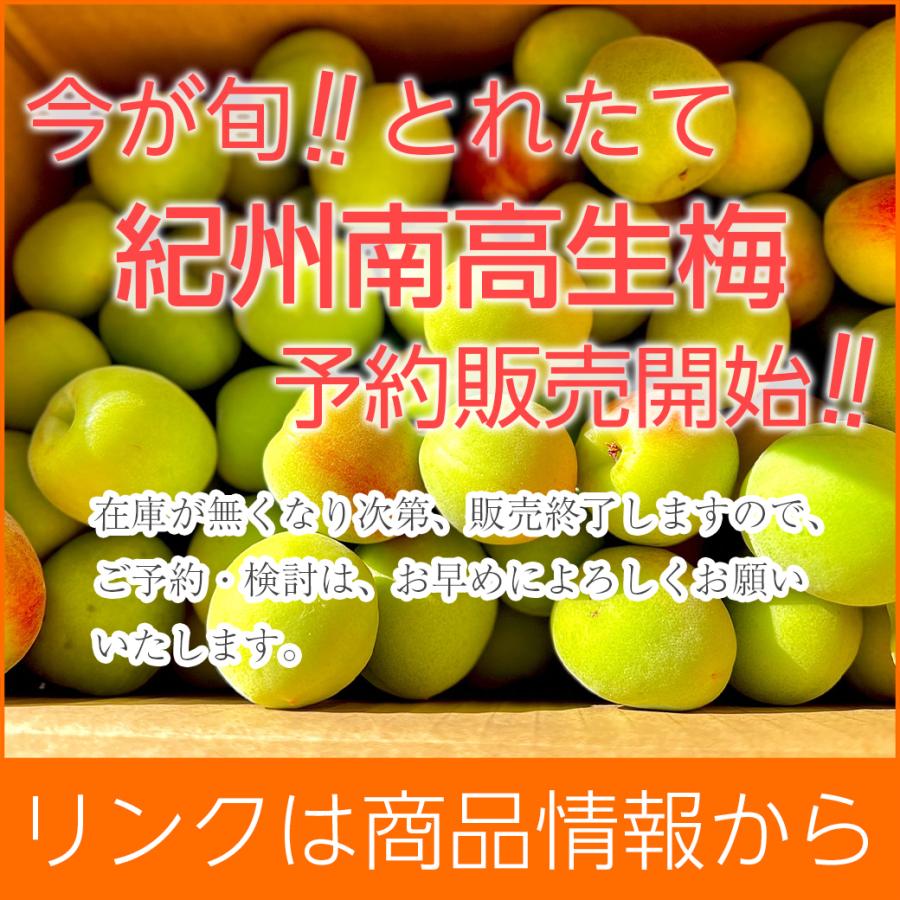 梅干し 訳あり ＼2個購入で5％OFFクーポン利用可／ 梅 つぶれ梅 紀州