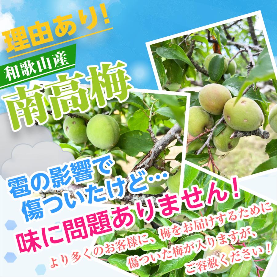 梅干し 訳あり ＼2個購入で5％OFFクーポン利用可／ 梅 つぶれ梅 紀州