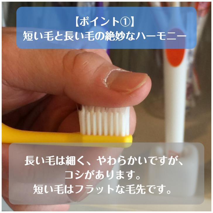 TePe 歯ブラシ テペ スプリームコンパクト Supreme 二段植毛 10本 送料