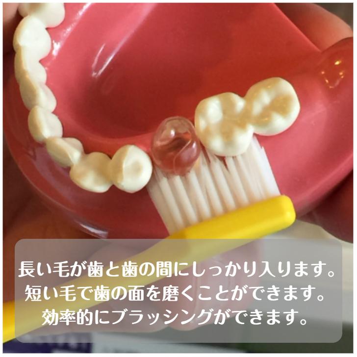 TePe 歯ブラシ テペ スプリームコンパクト Supreme 二段植毛 20本 送料