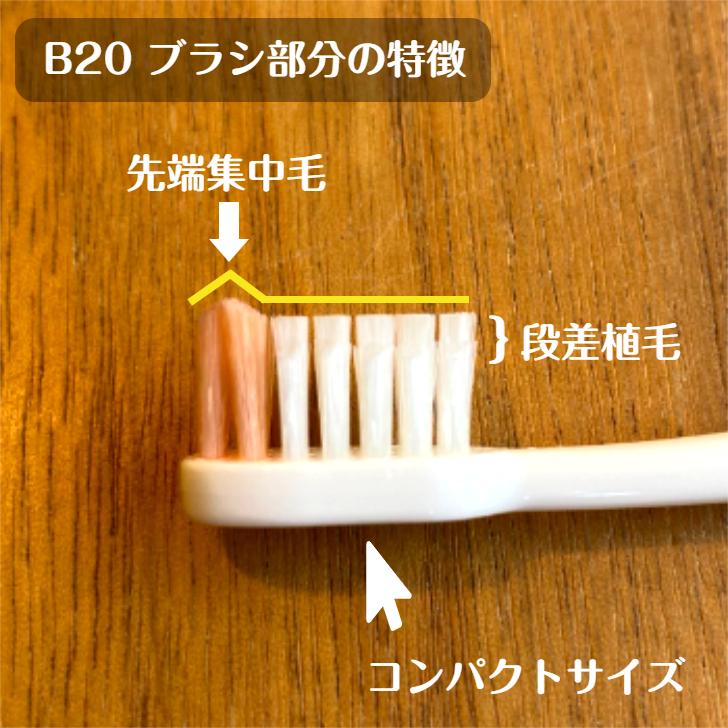 ピセラ ジーシー GC ルシェロ B-20 歯ブラシ 20本 M S 送料無料 歯科