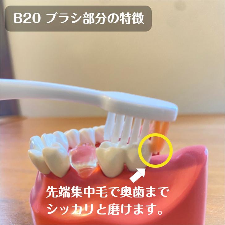 ボブルシェロ歯ブラシP-20M120本 ボブルシェロ歯ブラシP-20M120本 ピセラ 歯ブラシ ルシェロB-20