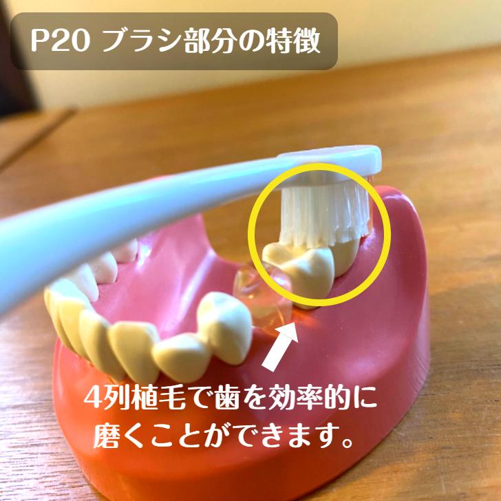 ジーシー GC ルシェロ P-20 ピセラ 歯ブラシ 5本 M S 送料無料 歯科専売品 歯医者 歯科医院 虫歯予防 歯周病予防 | ピセラ | 05
