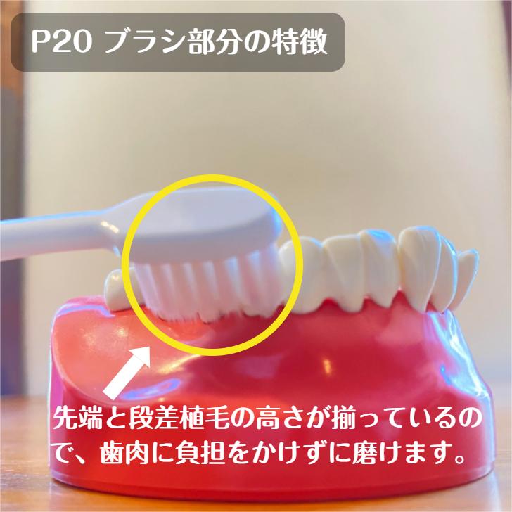 ピセラ ジーシー GC ルシェロ P-20 歯ブラシ 5本 M S 送料無料 歯科