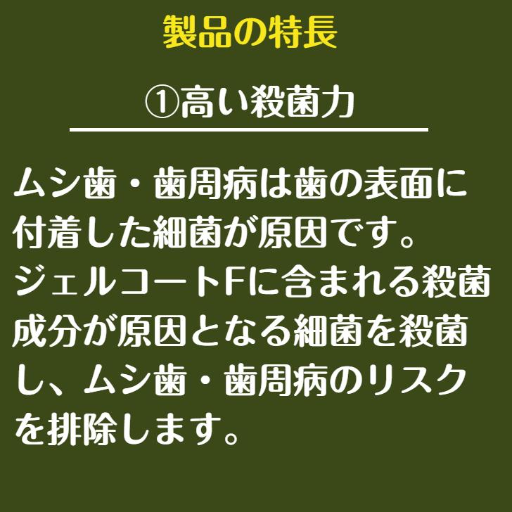 コンクール ジェルコートF 歯磨き粉 90g 6個｜hamigakilife｜02