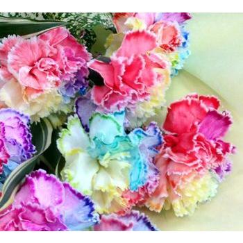 レインボーカーネーション 10本 の花束 021 021 花番地 Yahoo ショップ 通販 Yahoo ショッピング