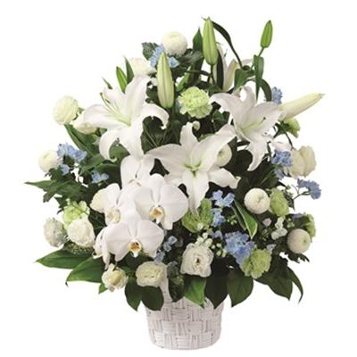 花キューピット アレンジメント 【511911】 （葬儀・御供）