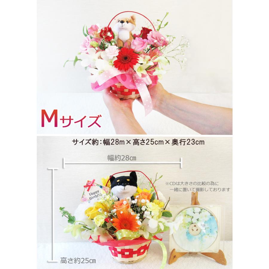 5/7〜5/11のお届け不可 送料無料 一部地域を除く 生花 5/7〜5/11のお届け不可 送料無料 一部地域を除く 生花