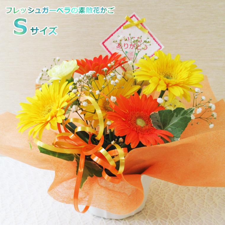 送料無料 一部地域を除く 生花 誕生日 記念日 プレゼント  切花 結婚 フレッシュガーベラの素敵花カゴ Sサイズ（Yahoo!・あれんじHana倶楽部）