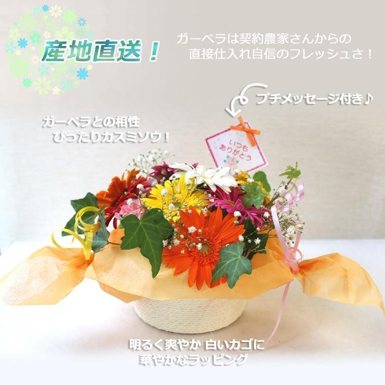 送料無料 一部地域を除く 生花 誕生日 記念日 プレゼント 切花 結婚