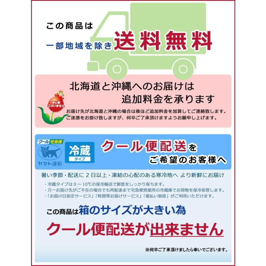 送料無料 一部地域除く 生花 誕生日 お祝い 記念日 プレゼント お礼 退職 展示会 開店 店長におまかせアレンジプレミアム 花材おまかせ　_11