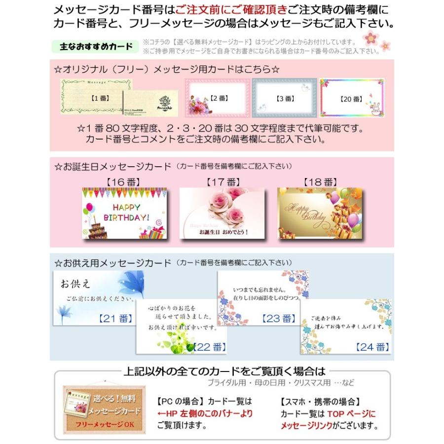 送料無料 一部地域除く 生花 誕生日 お祝い 記念日 プレゼント お礼 退職 展示会 開店 店長におまかせアレンジプレミアム 花材おまかせ　_8