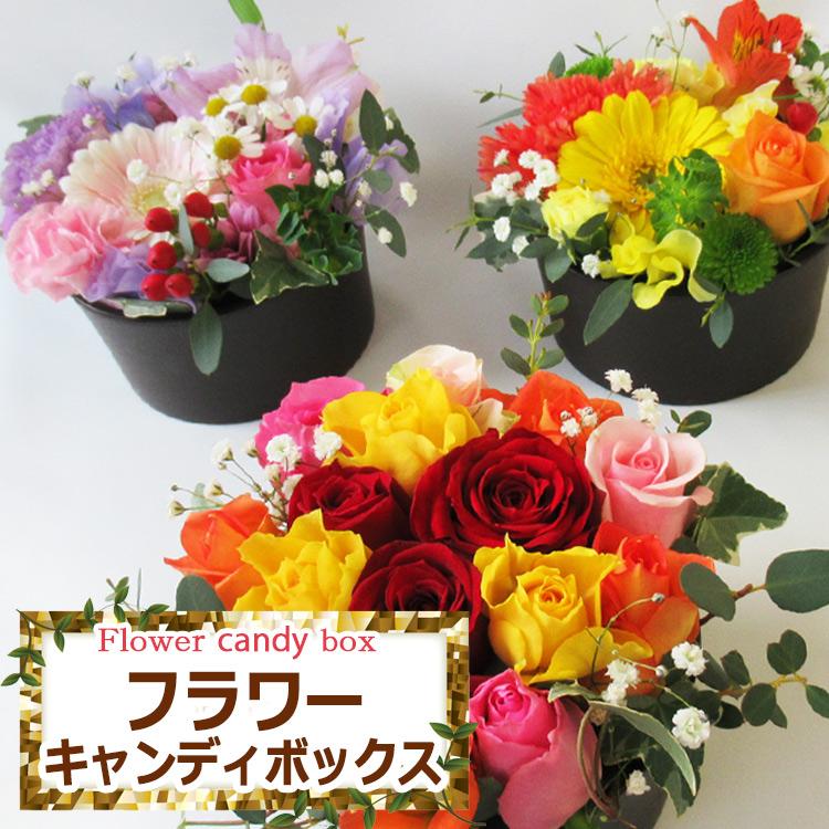 最短で翌日配達 14時〆 送料無料 一部地域を除く 生花 new! フラワー