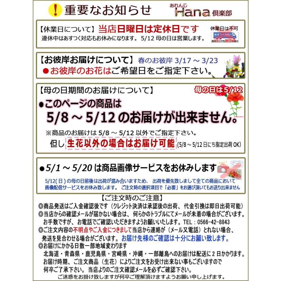 あすつく対応 14時まで 生花　オプション用　可愛いキャラクター　※この商品は単品でのご注文は承れません　御祝 お供え プレゼント｜hana-club｜09