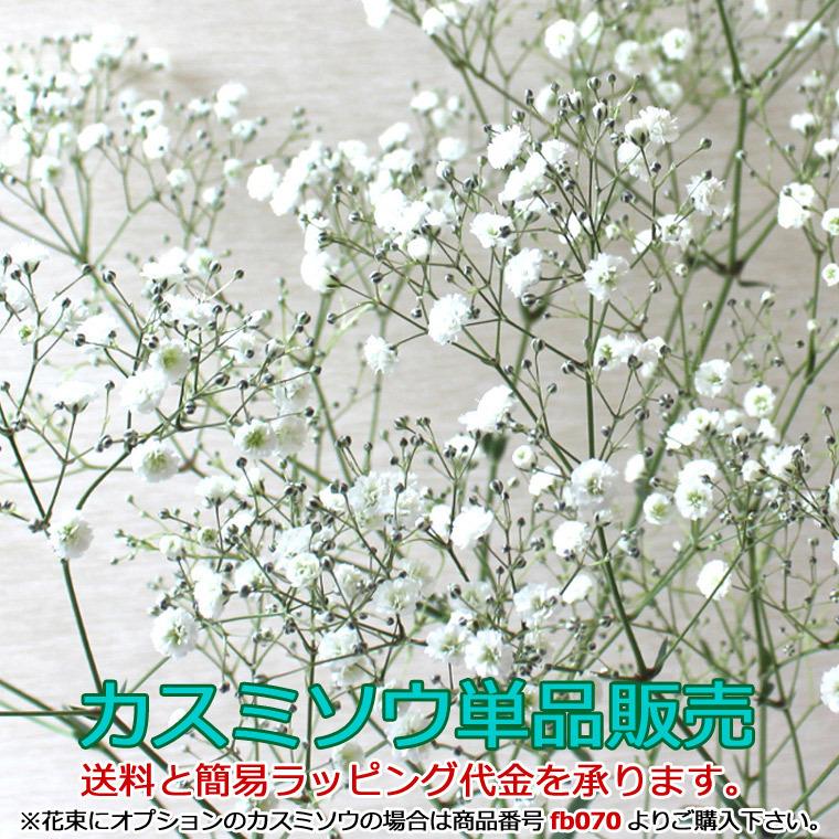 生花 単品販売カスミソウ 価格は1本分です 必要本数をご購入下さい