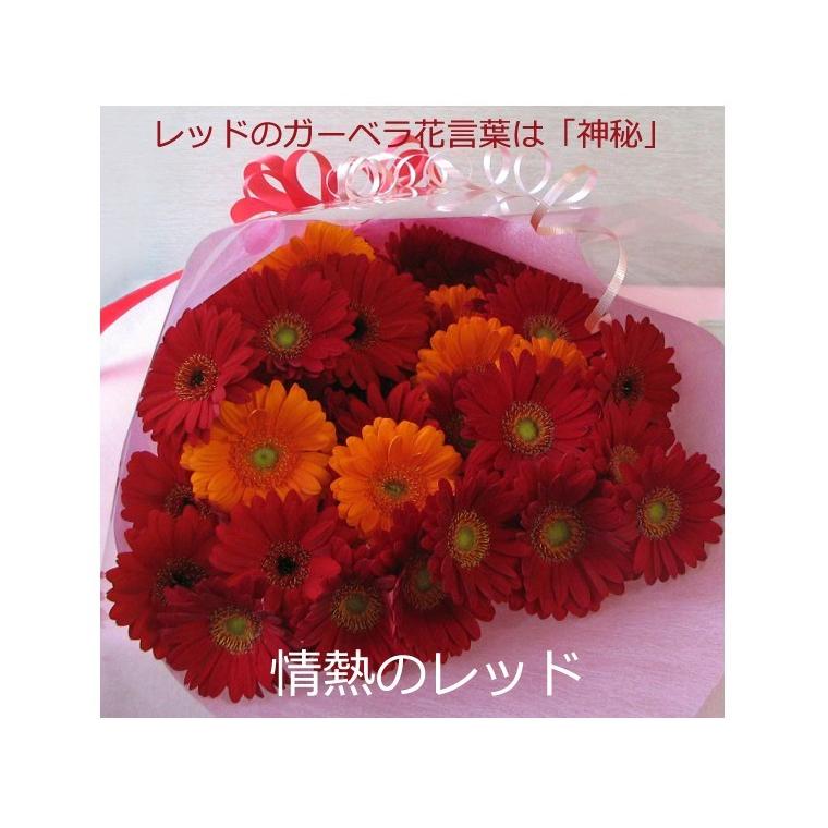 生花 花束 誕生日 記念日 プレゼント お礼 母の日 お祝い　カラ−選べるガーベラ50本の花束  ※情熱のレッドは12/19〜1/7お届け不可 送料無料 一部地域を除く｜hana-club｜07