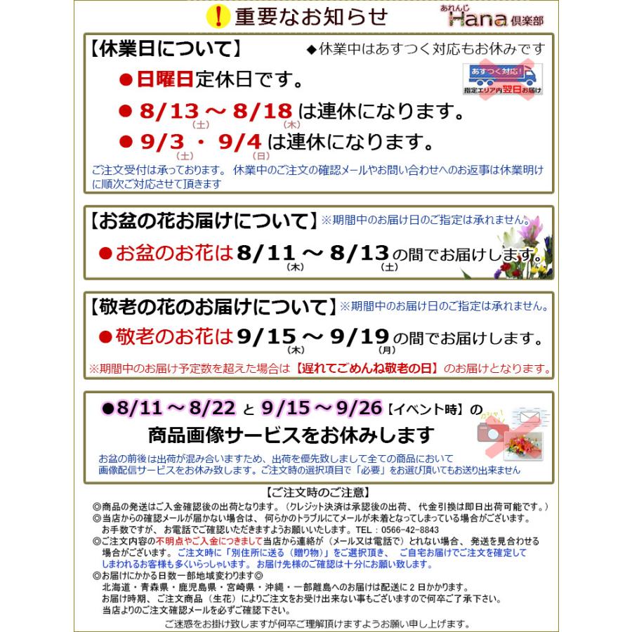 生花 深紅のバラ カスミソウの花束 送料無料 女性 花 ギフト 誕生日 ハロウィン 七五三 いい夫婦の日 11月22日 Fb321y あれんじhana倶楽部 通販 Yahoo ショッピング