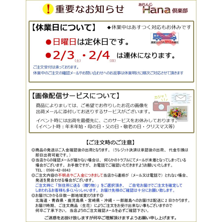 生花 花束 誕生日 記念日 プレゼント バラ 赤 お礼 還暦 お祝い お礼 母の日 父の日  深紅のバラ＆カスミソウの花束  送料無料 一部地域を除く｜hana-club｜06