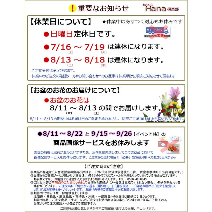 贈呈花カーネーション １輪 1本300円 10本以上でご注文下さい １本ブーケ カーネーション 5 4 5 8はお届け出来ません Fb528y あれんじhana倶楽部 通販 Yahoo ショッピング