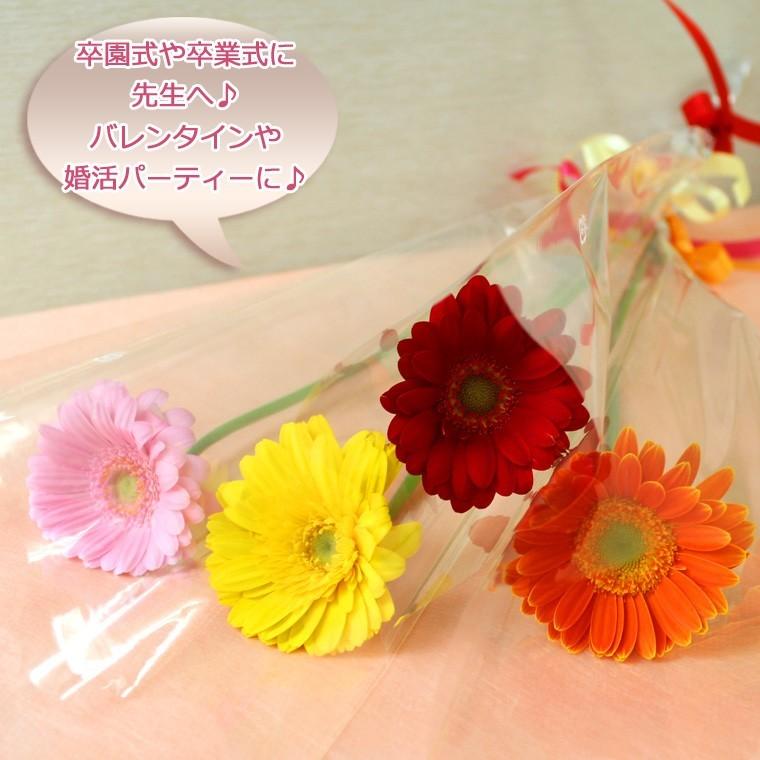 贈呈花ガーベラ １輪 1本240円 10本以上でご注文下さい １本ブーケ ガーベラ Fb554y あれんじhana倶楽部 通販 Yahoo ショッピング