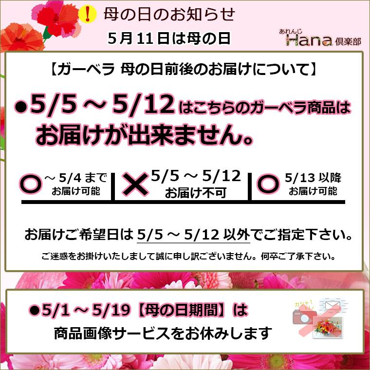 5/5〜5/12以外のお届け 送料無料 一部地域を除く 生花 花束 5/5〜5/12以外のお届け 送料無料 一部地域を除く 生花 花束