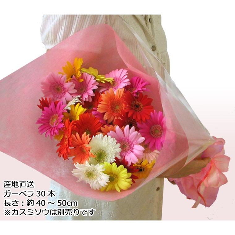 送料無料（一部地域を除く）カラーが選べるガーベラ30本の花束 誕生日 女性 プレゼント ギフト :fb559y:あれんじHana倶楽部 - 通販 -  Yahoo!ショッピング