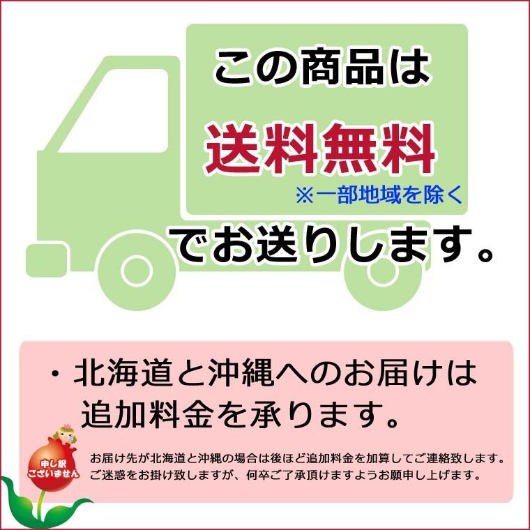 人気満点 送料無料 一部地域を除く 只今プレゼント付き プリザーブドフラワーブライダルブーケ セミキャスケードブーケ ブーケ ブートニアセット 爆売り Kuljic Com