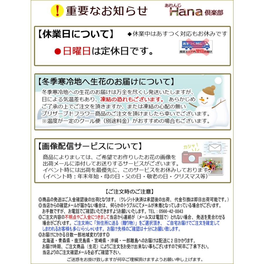 送料無料 一部地域を除く 只今プレゼント付き プリザーブド 送料無料 一部地域を除く 只今プレゼント付き プリザーブド
