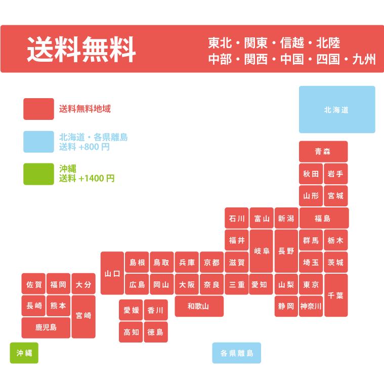 アガベ ポタトラム 吉祥冠 キッショウカン リュウゼツラン科 5号 鉢直径15cm プラ鉢 |  | 04