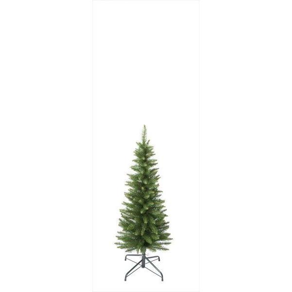 お買い得モデル クリスマスツリー 1cm スリム コニファー 針葉樹 Portalcultura Net Br