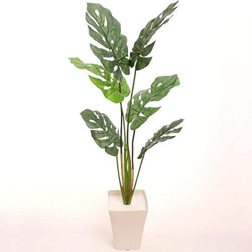 訳あり モンステラ プラ鉢 フェイクグリーン 人工観葉植物 高さ1cm お年玉 価格 Fukubukuro 花と緑のはなここ 通販 Yahoo ショッピング
